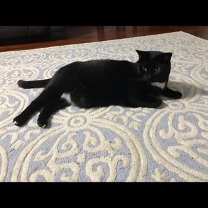 Meet your Posher, Caroline